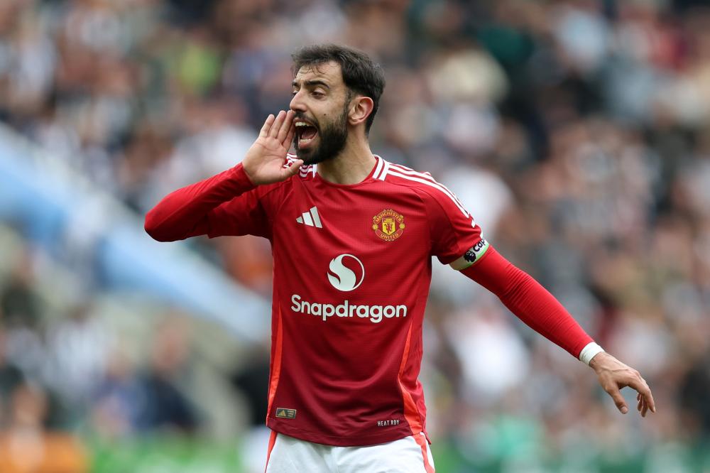 海海港带来 海海港带来